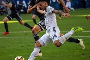 九游体育娱乐-抵挡太平洋的堤坝